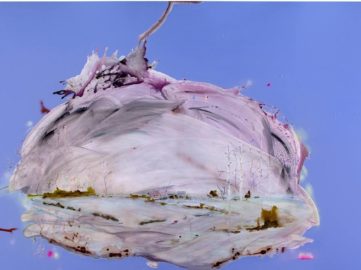 Art Cologne