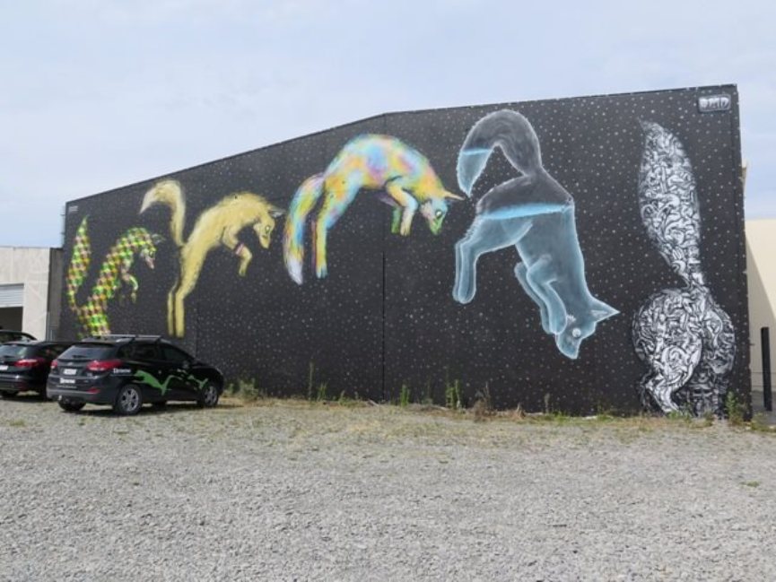 New Zealand street art