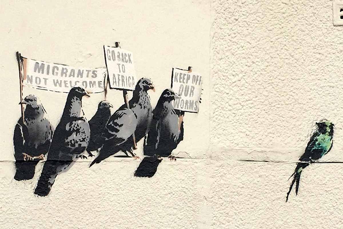 street art birds