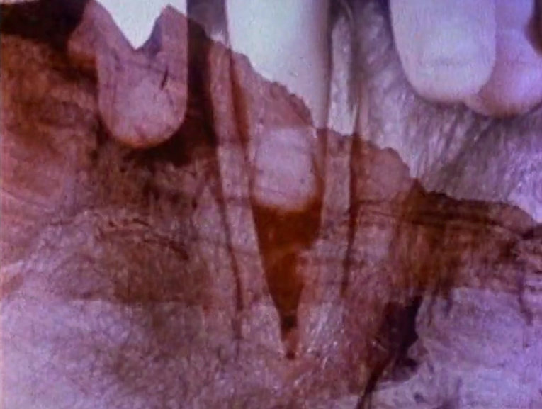 Barbara Hammer - Multiple Orgasm, 1976
