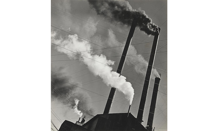 Bonhams auction, new york