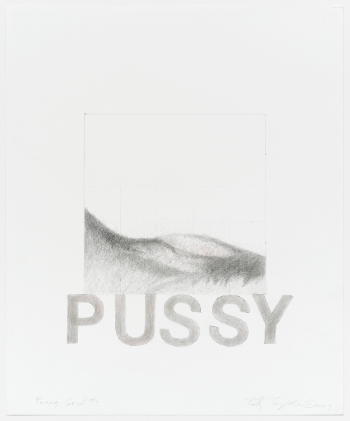 Pussy grid #1, 2017, Pencil on paper, 43.2 x 35.6 cm