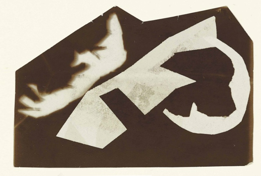 What is a photogram and how is it made? The darkroom is support for photogram technique and the way the artists use film to make work without a camera