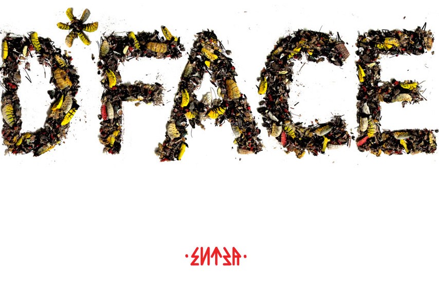 D*Face website screenshot