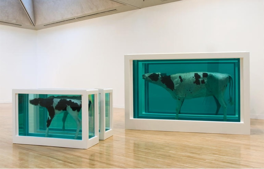 Damien Hirst news paintings tate terms