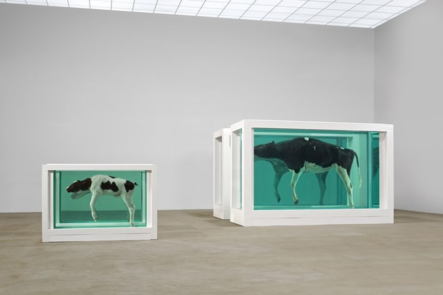 The Famous Damien Hirst Artwork has Leaked Dangerous Levels of ...