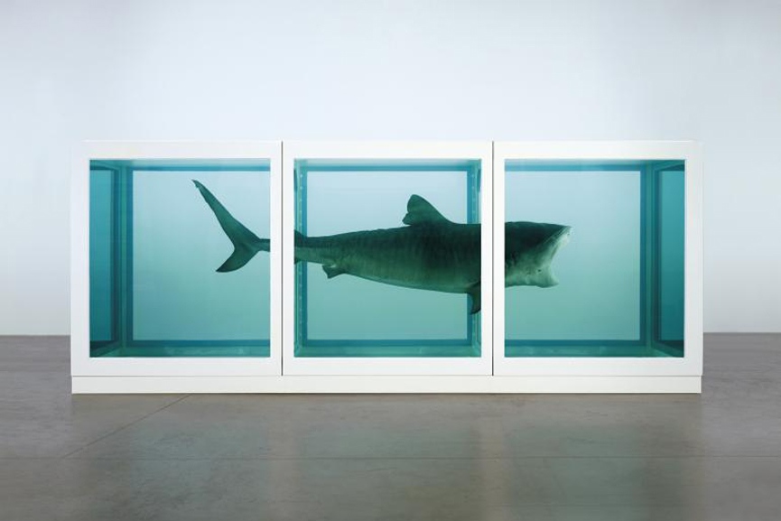 privacy, 2008, 2005, 2007, end search, 2012 paintings skull, paintings,2010, sculpture,1995, gallery, london, exhibition,beautiful, spot gallery shark terms 2009
