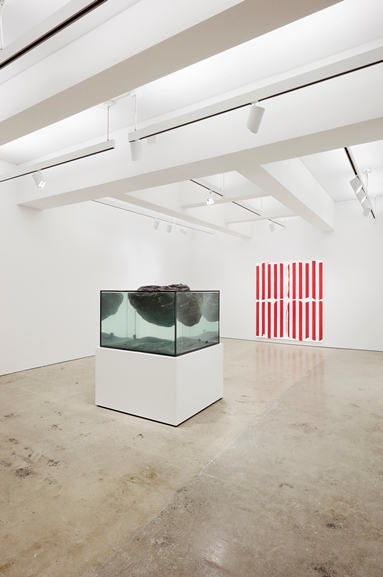 Daniel Buren - Variable Forms Painting