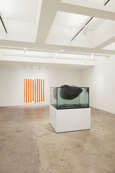 Daniel Buren - Variable Forms Painting