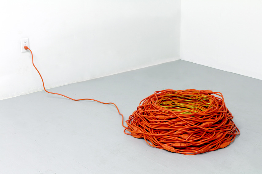 Dave Rittinger - Nest