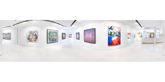 David Pluskwa Art Contemporain