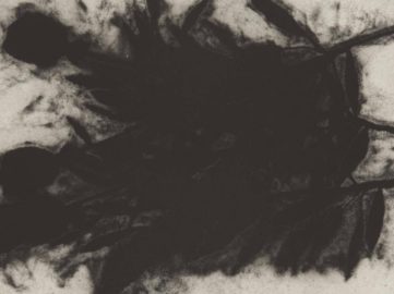 Donald Sultan - Black Rose (1 of 3) (detail), 1989