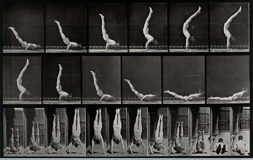 A man standing on his hands from a lying down position, a time lapse locomotion captured by the photographer; from 1887 collection shown at thames kingston and sponsored by stanford