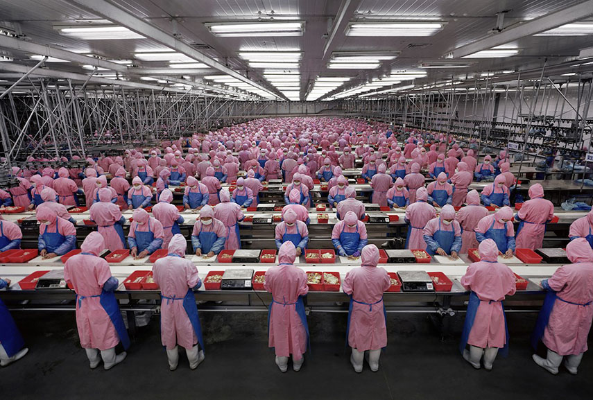 Edward Burtynsky - Manufacturing #17, Deda Chicken Processing Plant, Dehui City, Jilin Province, China