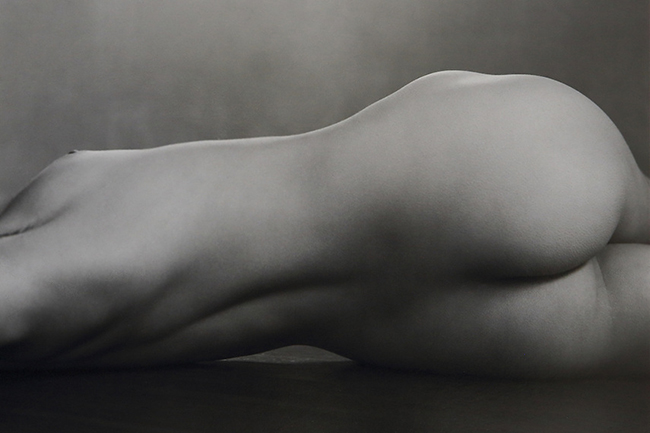 Nude (40N), 1925. Photograph by Edward Weston