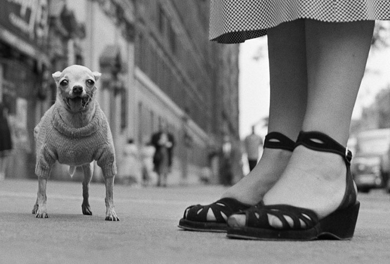 Erwitt's pictures don’t revolve just around street photography - he used to make many good portraits too 