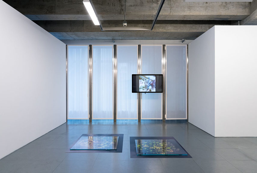 Exhibition View