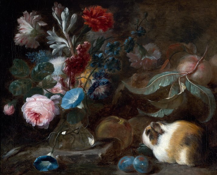 Franz Werner Temm – Still life with Guinea pig, flowers and fruit