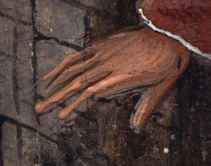 Hieronymus Bosch - The Adoration of the Magi detail - photomicrograph of background figure’s hand
