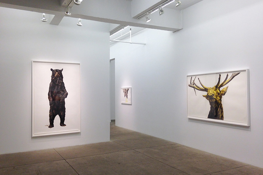 PPOW Gallery
