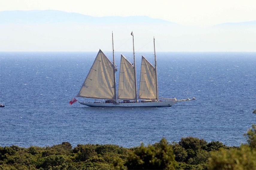 picasso music tech arts search house news 2015 business home twitter boat said worth world