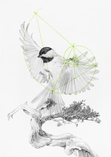 Mirus Gallery