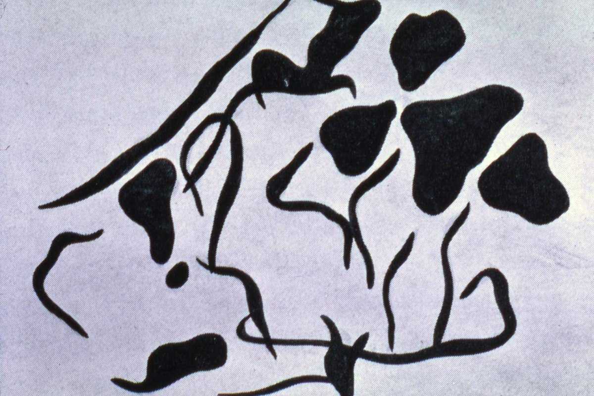 Jean Arp From Dadaism to Surrealism Widewalls