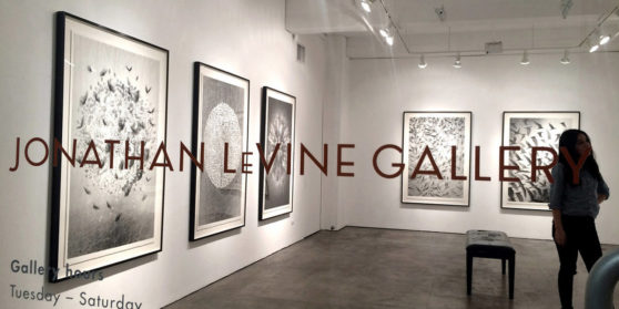 JONATHAN LEVINE PROJECTS