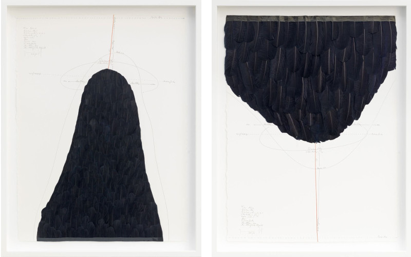 Jorinde Voigt works - From Behind ink, goose feathers, oil crayon, India ink, pencil on paper 2015 (Left) / From Aboveink, goose feathers, oil crayon, India ink, pencil on paper 2015 (Right) - policy