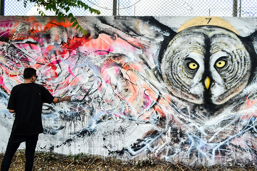 l7m street art, birds of brazil