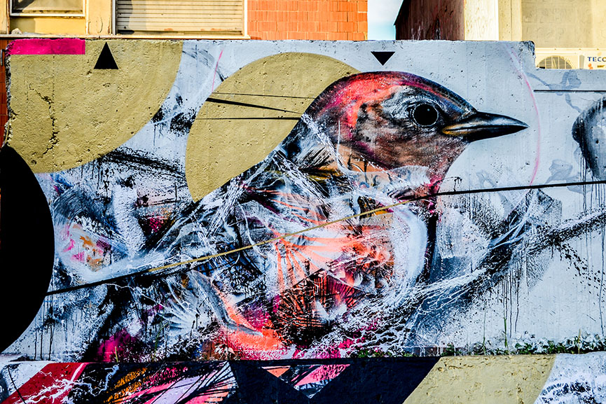 L7m Brought His Birds Of Brazil To Italy For The First Time | Widewalls