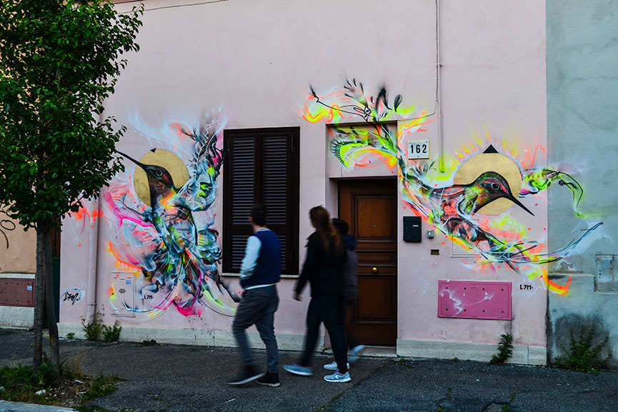 l7m street art, birds of brazil
