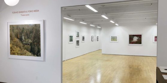 Laurence Miller Gallery