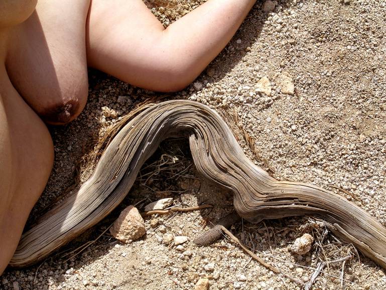 Grounded#108, 2006