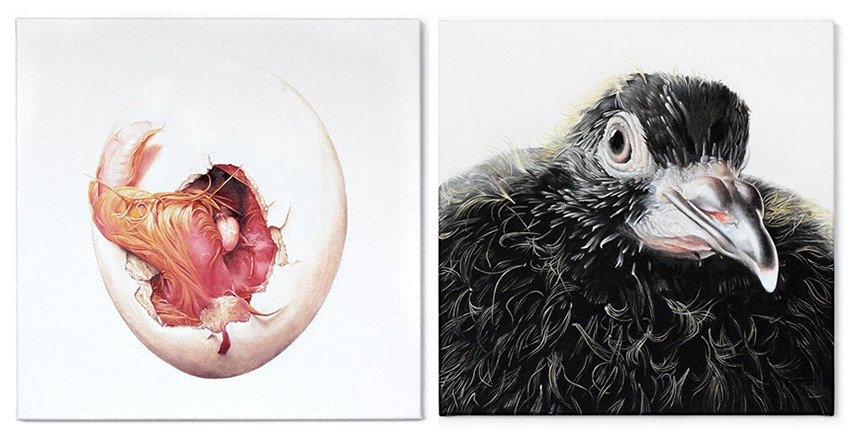 Adele Renault Exhibition Chicago view amsterdam contact creative