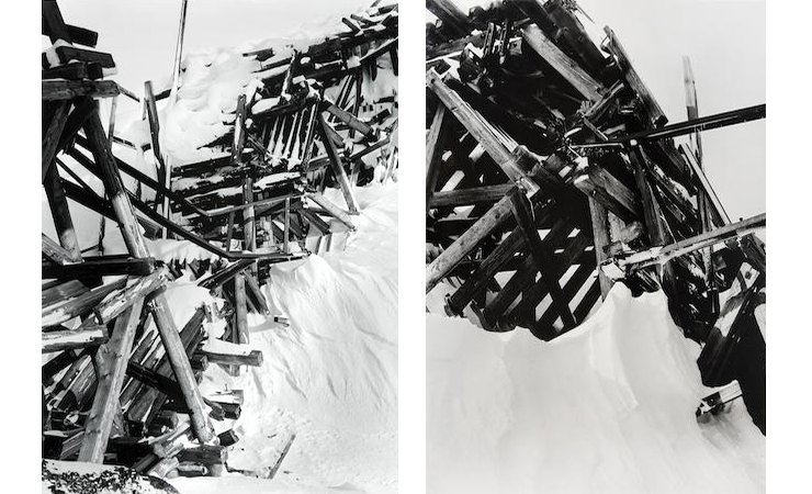 bonhams, new york, auction analysis, prints