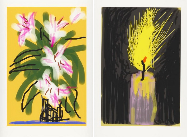 Hockney - Lilies and Flame iphone drawings