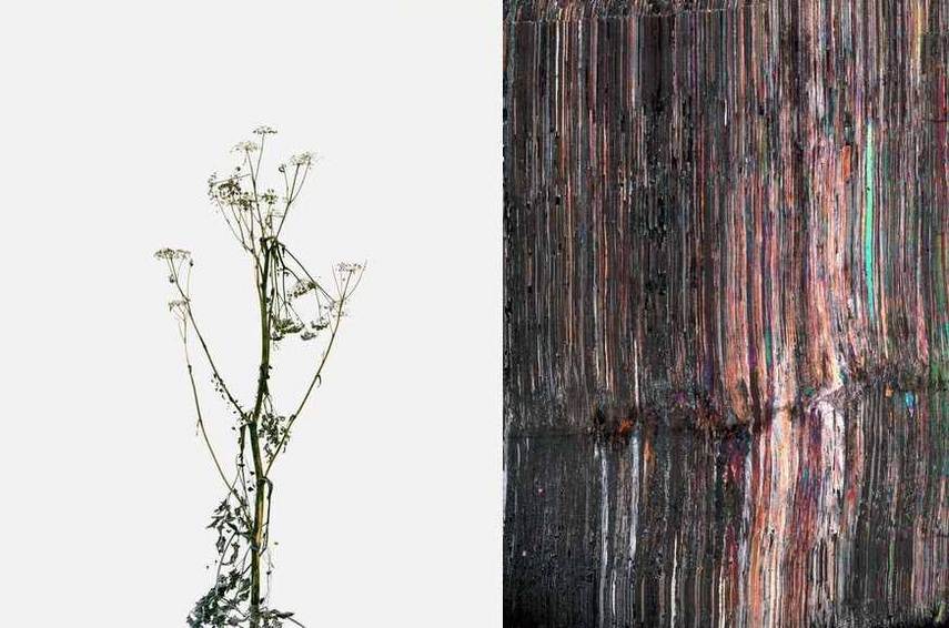 Left Eric Potevin - Untitled Right Dove Allouche - Evaporites