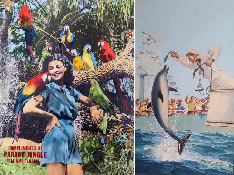 Left Gleason Waite Romer - Parrot Jungle Right Charles Rosner - Man with Jumping Dolphin