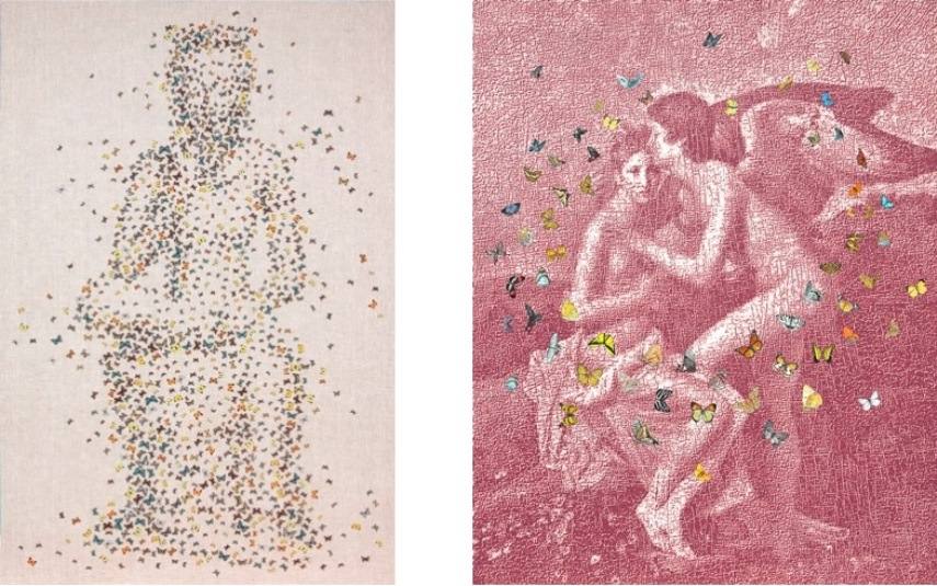 Kim Dong Yoo, Hasted Kraeutler