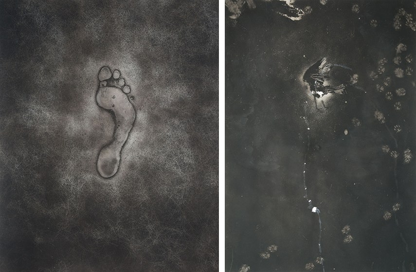 Maximilian Prüfer exhibition Lisabird