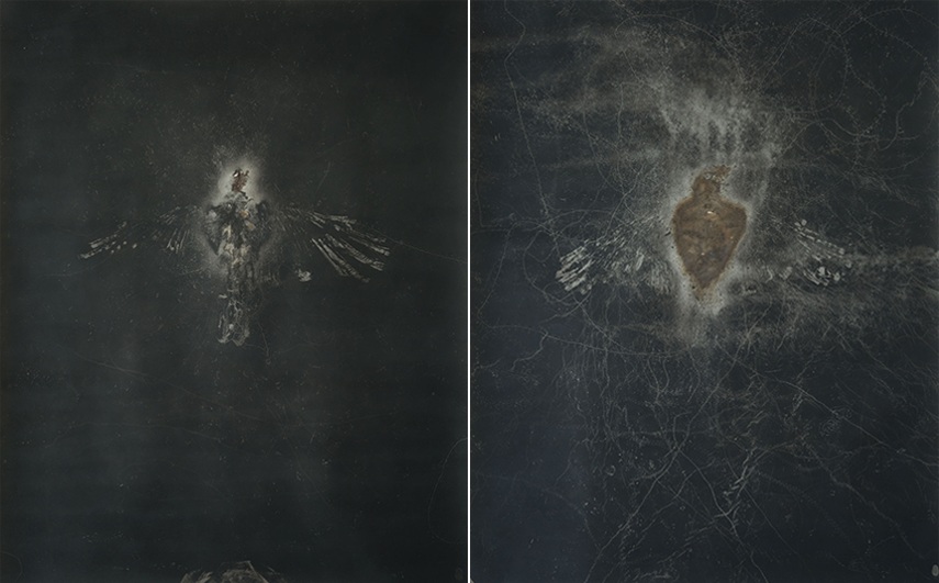 Maximilian Prüfer exhibition Lisabird contact facebook