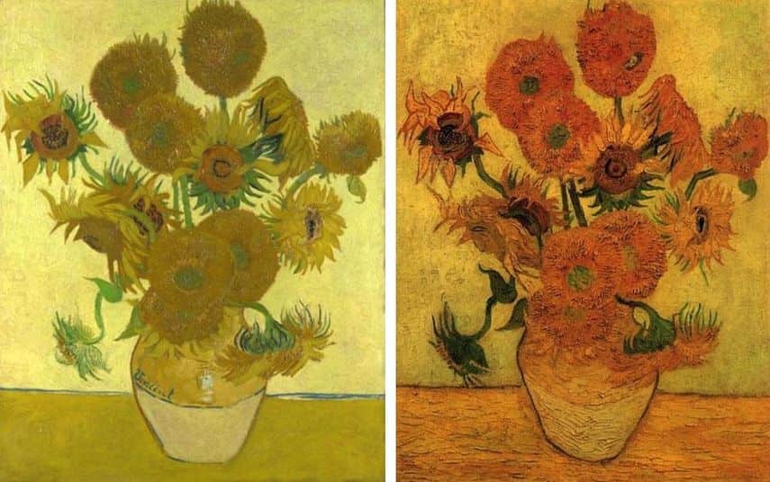 Five Vincent Van Gogh Sunflowers United For The First Time