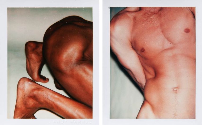 Andy Warhol Nudes.