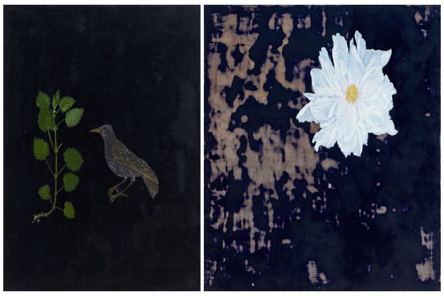 Melanie Miller: Natural History