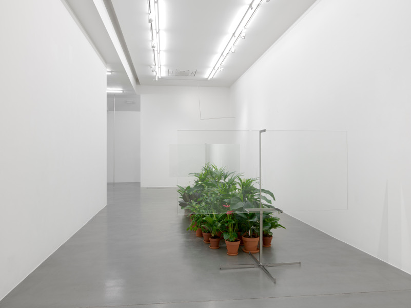 Exhibition at Simon Lee Gallery