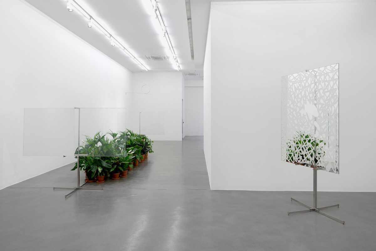 Exhibition at Simon Lee Gallery, 2017