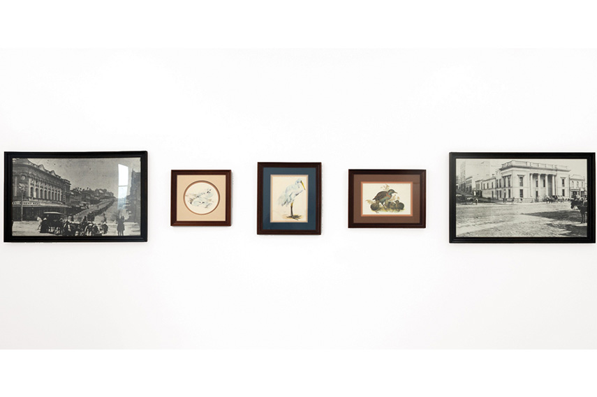dunedin public art gallery