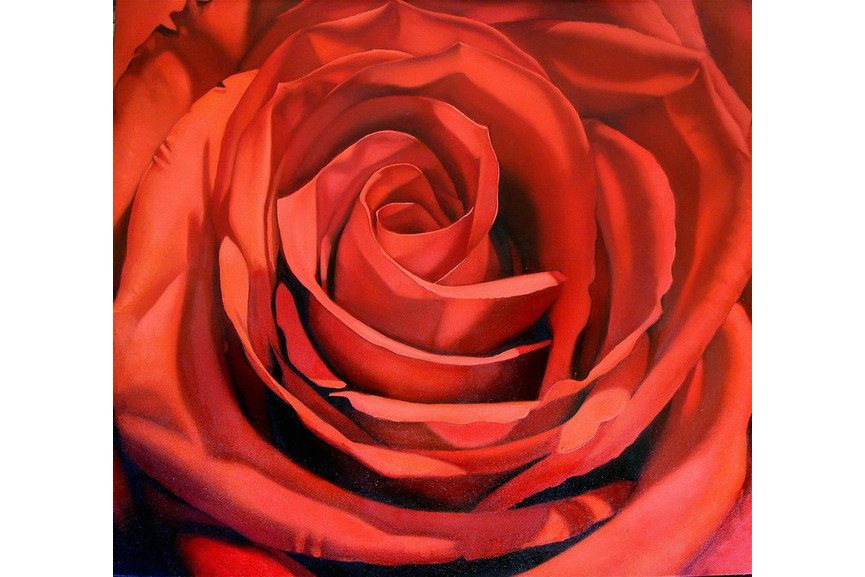Margaret Morrison Red Rose Widewalls