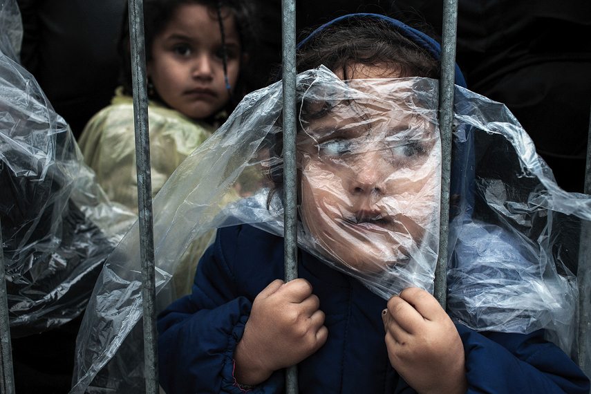 cookies,privacy, nature, sport, home, sports, policy, education, photos, february, winner, syria, close, search,